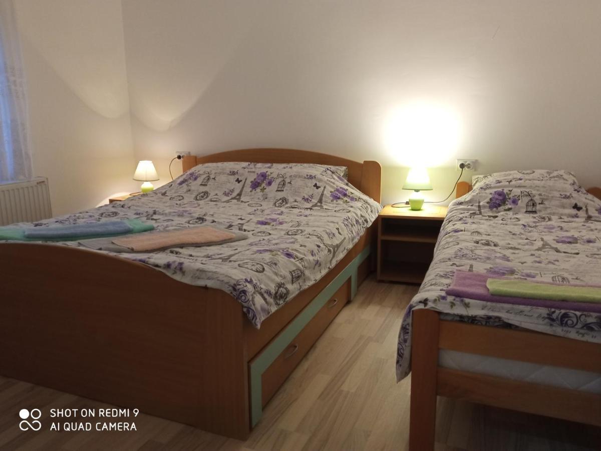 Guest House Vila Banjica ปิโรต์ ภายนอก รูปภาพ