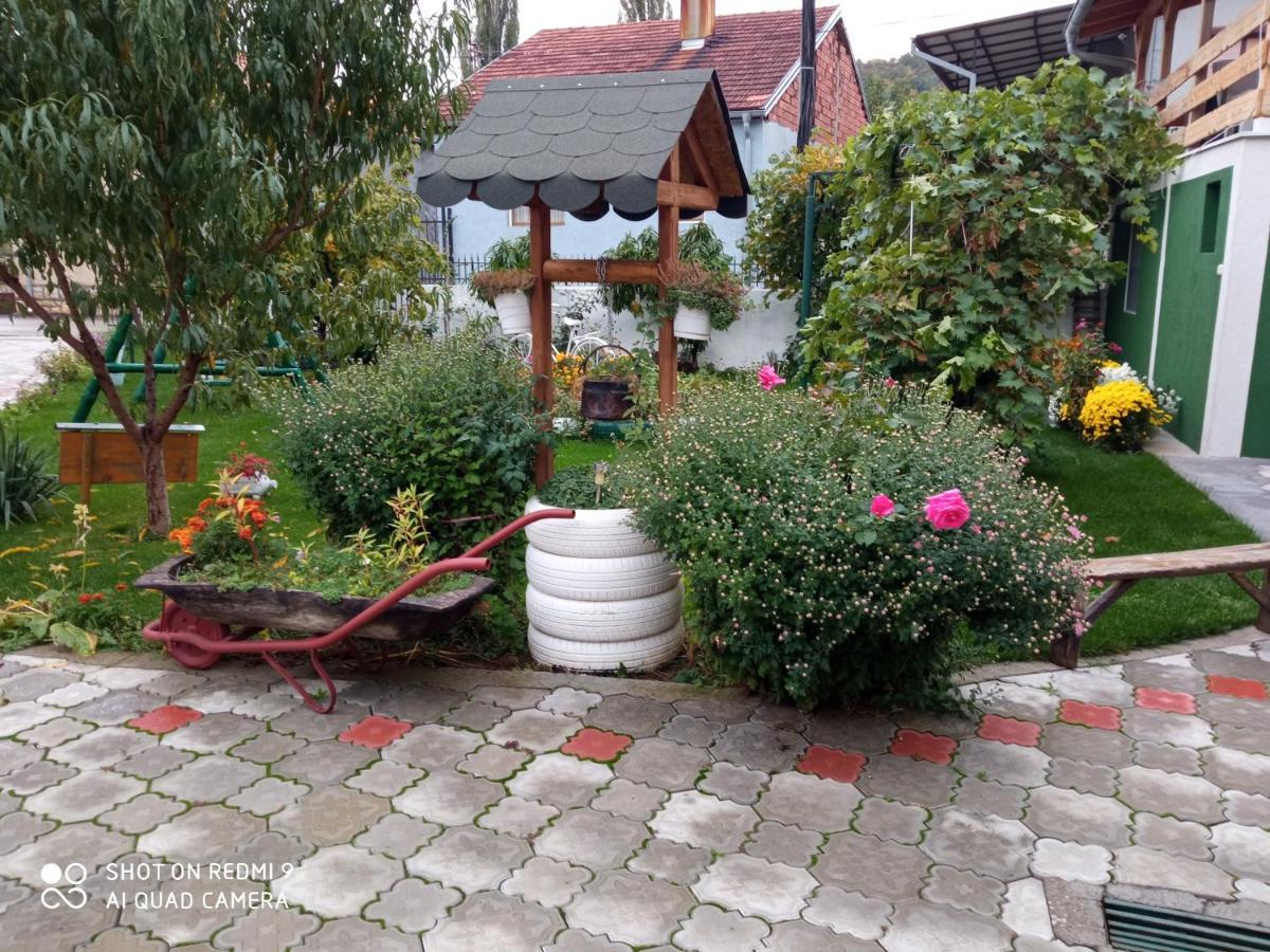 Guest House Vila Banjica ปิโรต์ ภายนอก รูปภาพ