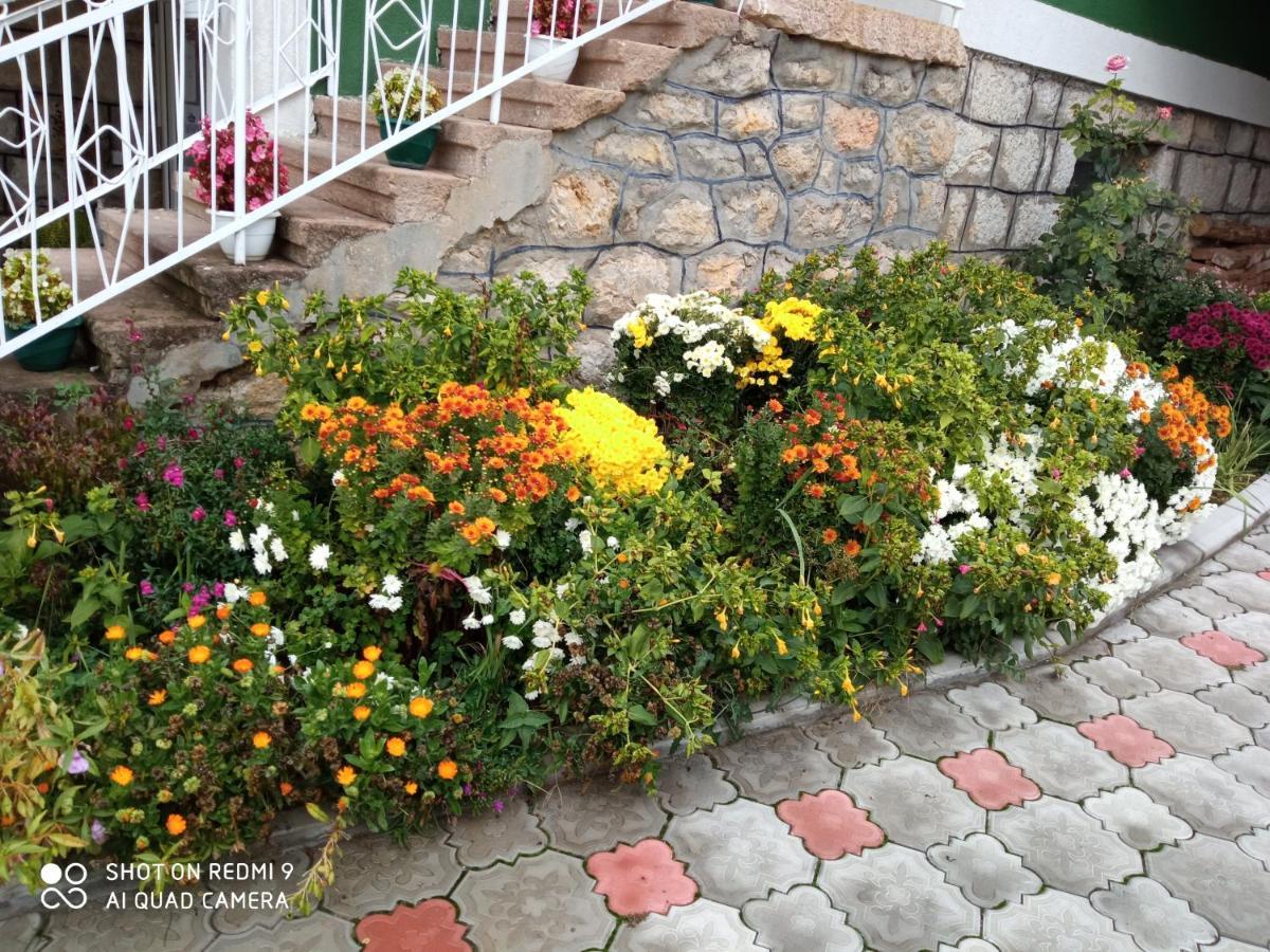 Guest House Vila Banjica ปิโรต์ ภายนอก รูปภาพ