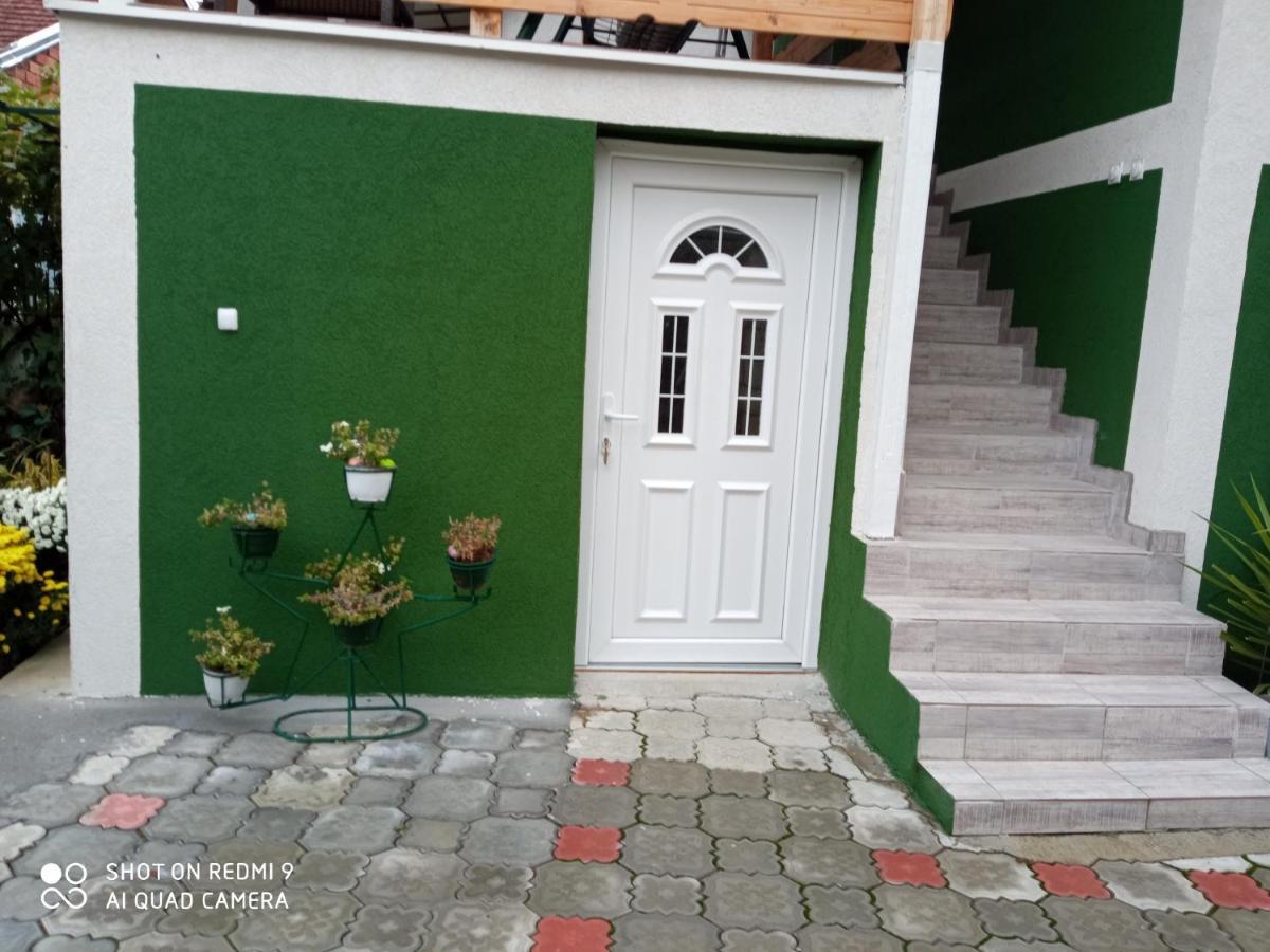 Guest House Vila Banjica ปิโรต์ ภายนอก รูปภาพ