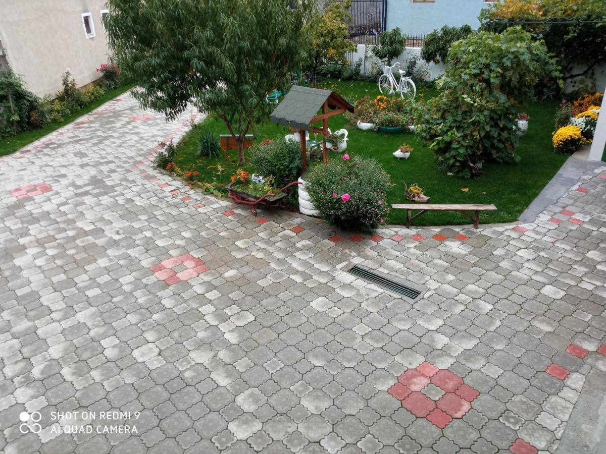 Guest House Vila Banjica ปิโรต์ ภายนอก รูปภาพ