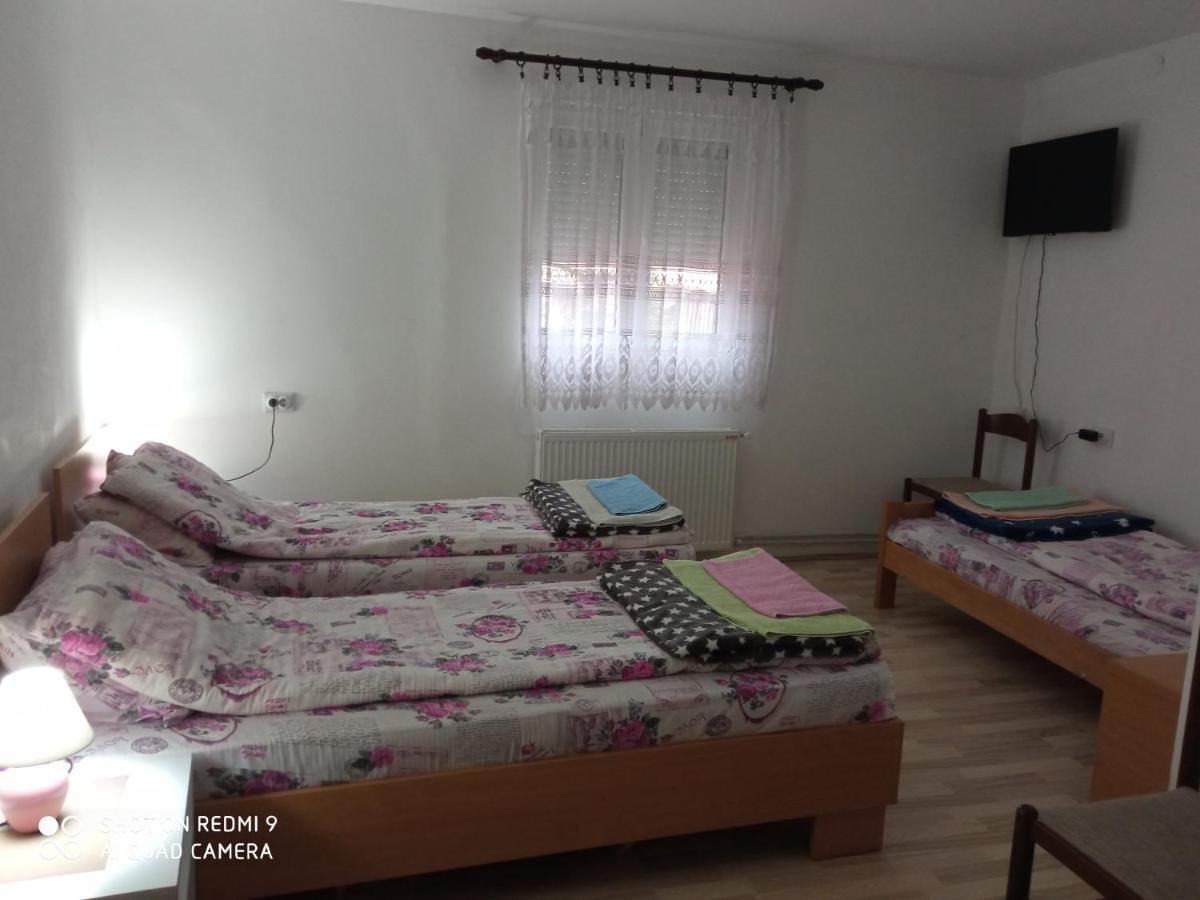 Guest House Vila Banjica ปิโรต์ ภายนอก รูปภาพ