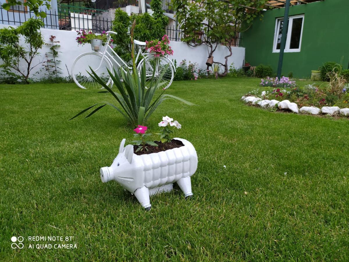 Guest House Vila Banjica ปิโรต์ ภายนอก รูปภาพ