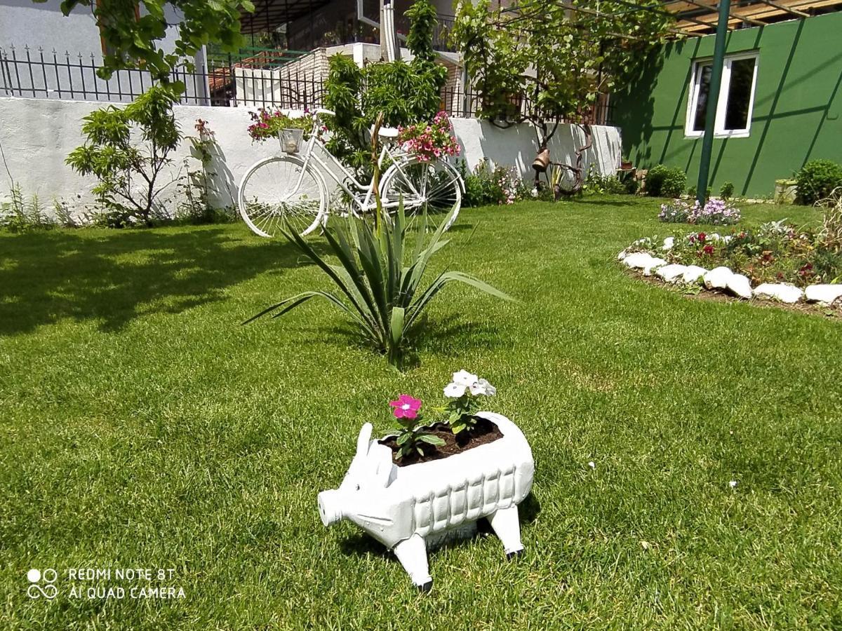 Guest House Vila Banjica ปิโรต์ ภายนอก รูปภาพ
