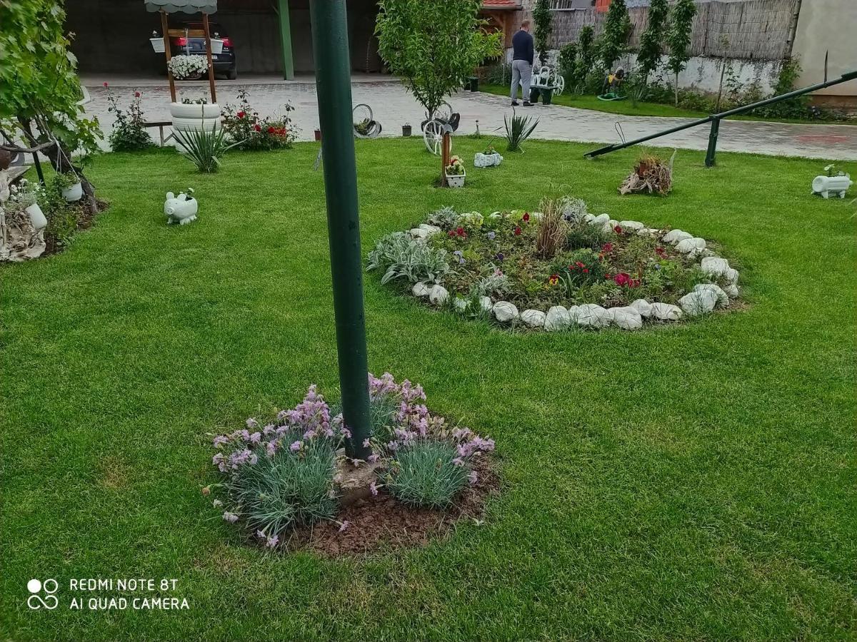 Guest House Vila Banjica ปิโรต์ ภายนอก รูปภาพ