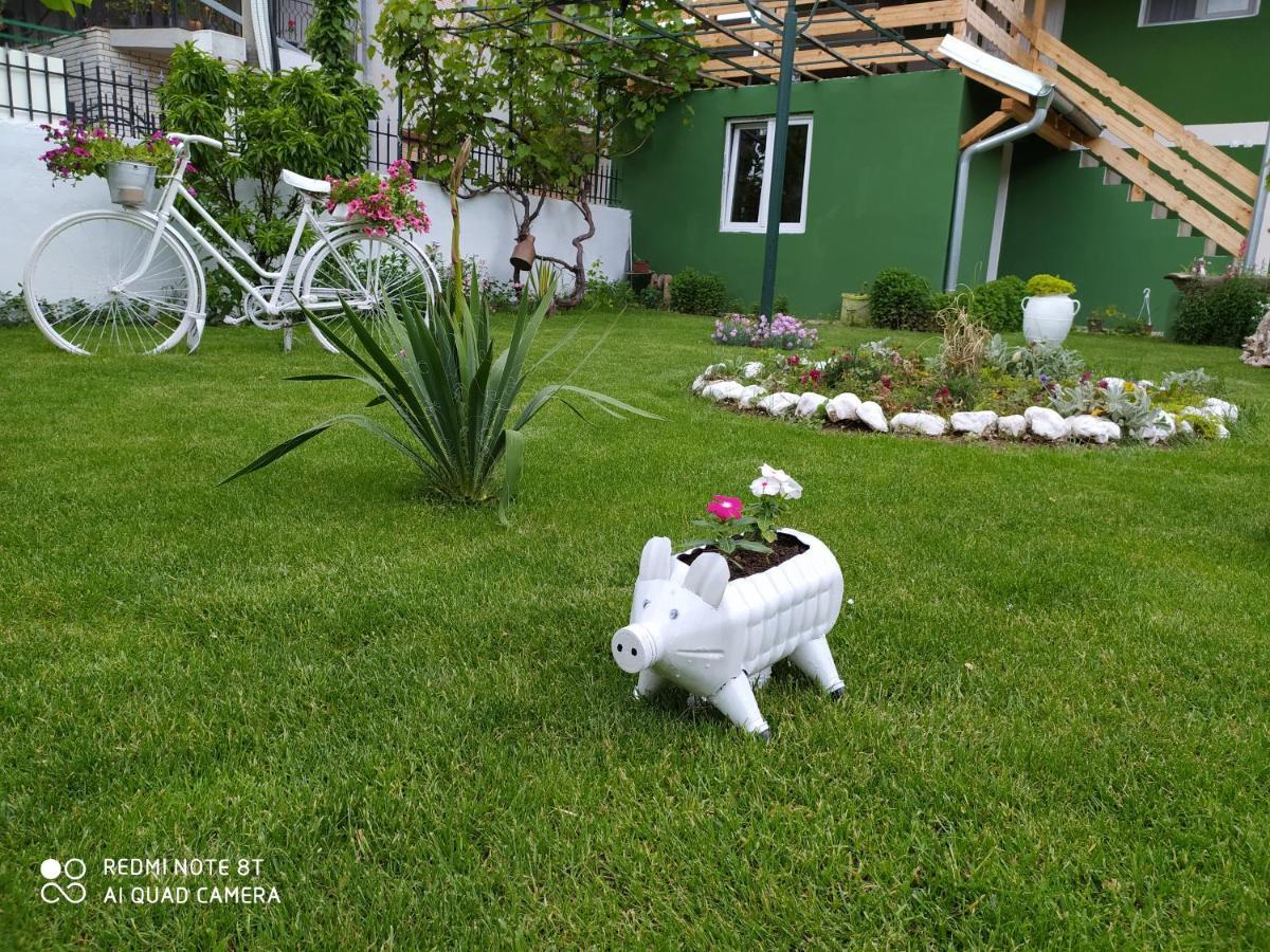 Guest House Vila Banjica ปิโรต์ ภายนอก รูปภาพ
