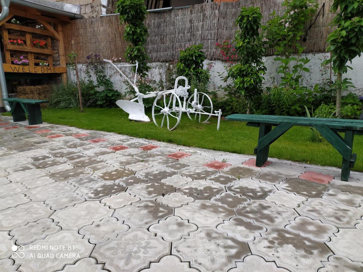 Guest House Vila Banjica ปิโรต์ ภายนอก รูปภาพ