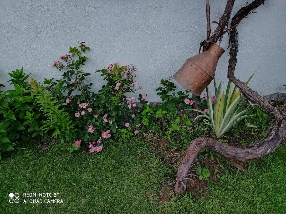 Guest House Vila Banjica ปิโรต์ ภายนอก รูปภาพ